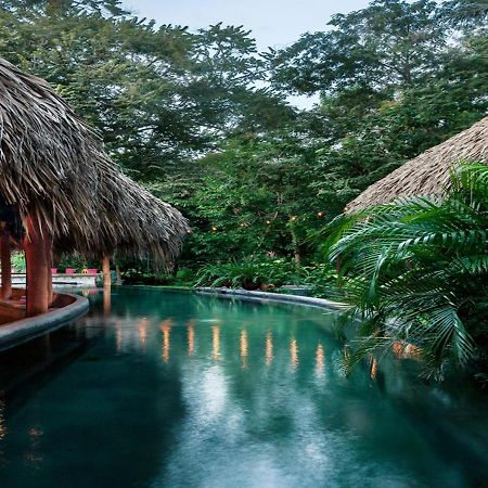 The Space Jungle Oasis サン・フアン・デル・スル エクステリア 写真