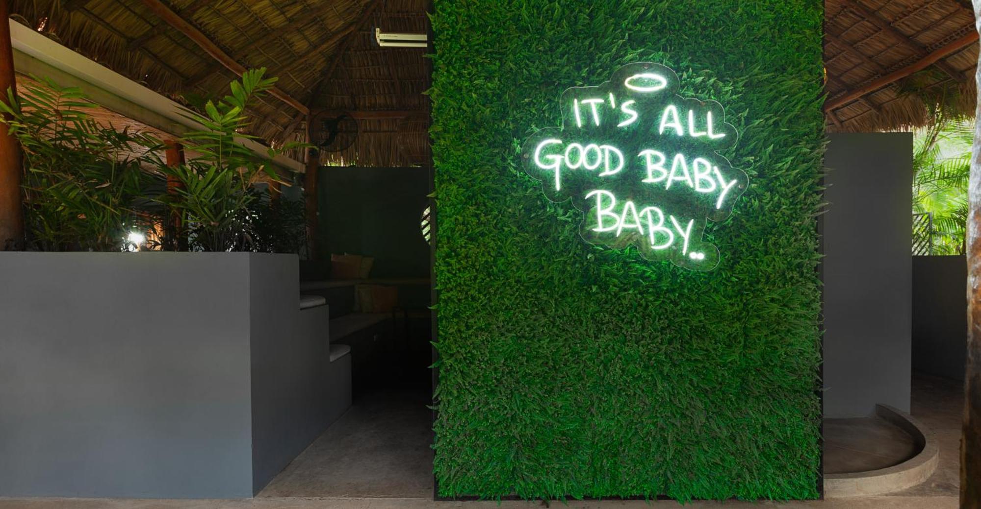The Space Jungle Oasis サン・フアン・デル・スル エクステリア 写真