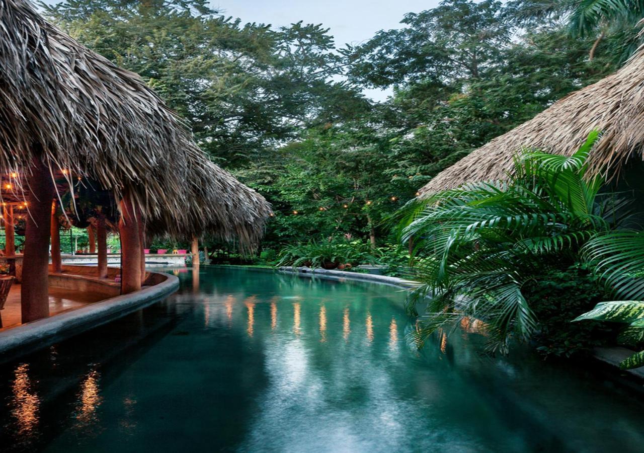 The Space Jungle Oasis サン・フアン・デル・スル エクステリア 写真